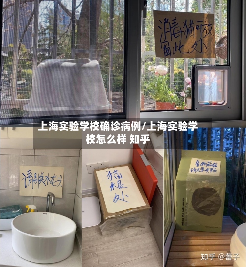 上海实验学校确诊病例/上海实验学校怎么样 知乎-第2张图片