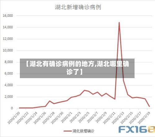 【湖北有确诊病例的地方,湖北哪里确诊了】