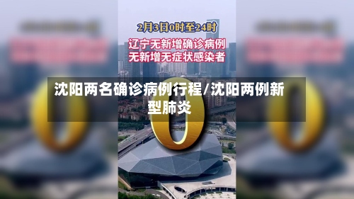 沈阳两名确诊病例行程/沈阳两例新型肺炎-第3张图片