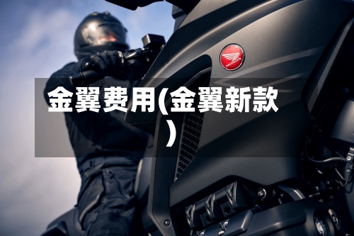 金翼费用(金翼新款)-第2张图片