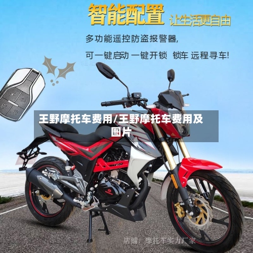 王野摩托车费用/王野摩托车费用及图片