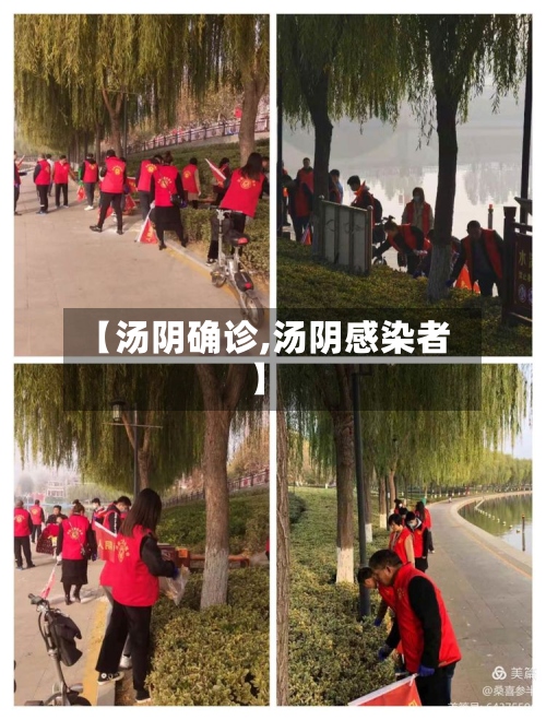 【汤阴确诊,汤阴感染者】-第2张图片
