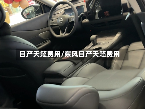 日产天籁费用/东风日产天籁费用