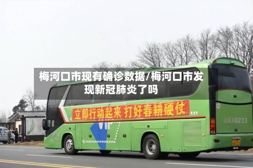 梅河口市现有确诊数据/梅河口市发现新冠肺炎了吗-第3张图片