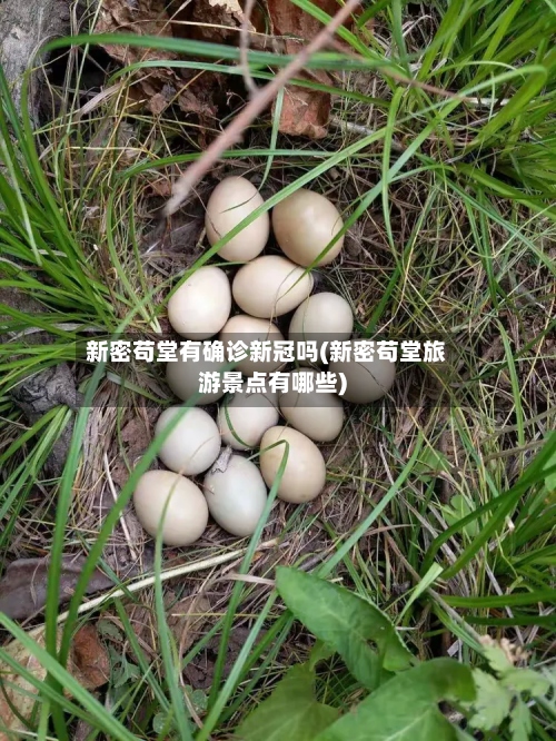 新密苟堂有确诊新冠吗(新密苟堂旅游景点有哪些)