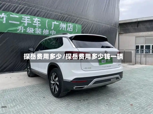 探岳费用多少/探岳费用多少钱一辆