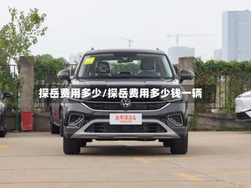 探岳费用多少/探岳费用多少钱一辆-第2张图片