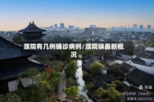 濮院有几例确诊病例/濮院镇最新概况-第2张图片