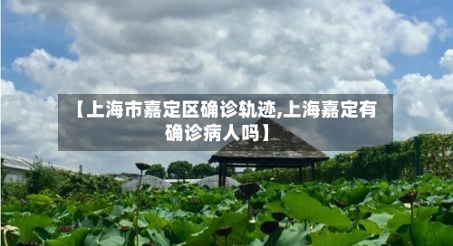 【上海市嘉定区确诊轨迹,上海嘉定有确诊病人吗】-第3张图片