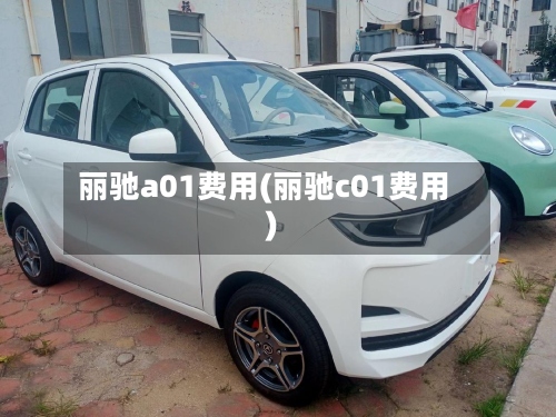 丽驰a01费用(丽驰c01费用)-第2张图片
