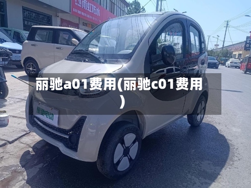 丽驰a01费用(丽驰c01费用)
