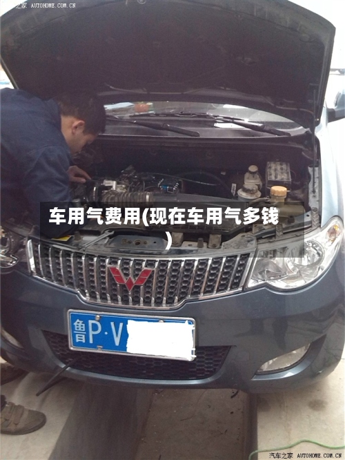车用气费用(现在车用气多钱)