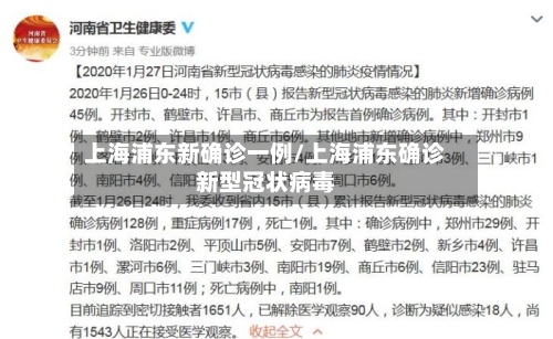 上海浦东新确诊一例/上海浦东确诊新型冠状病毒-第3张图片