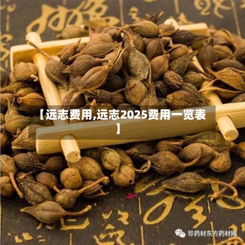 【远志费用,远志2025费用一览表】