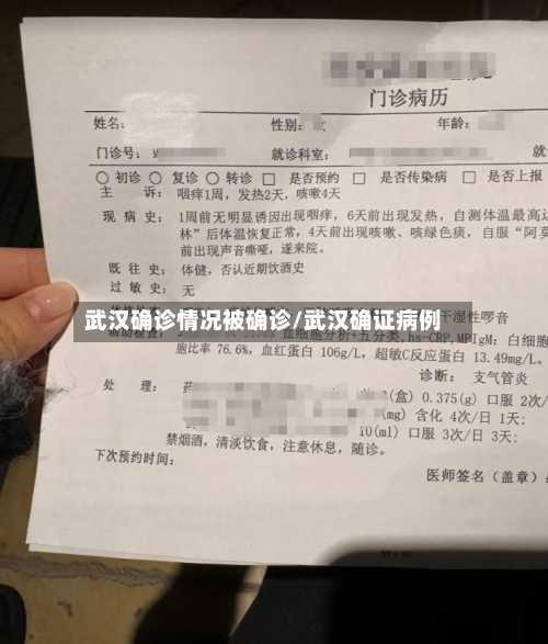 武汉确诊情况被确诊/武汉确证病例