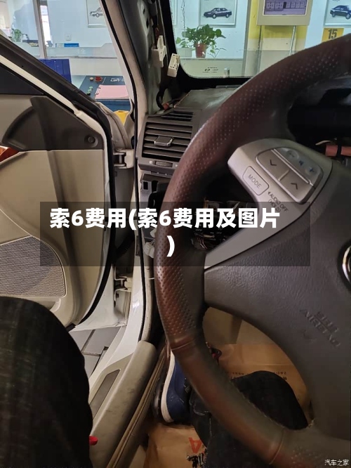 索6费用(索6费用及图片)