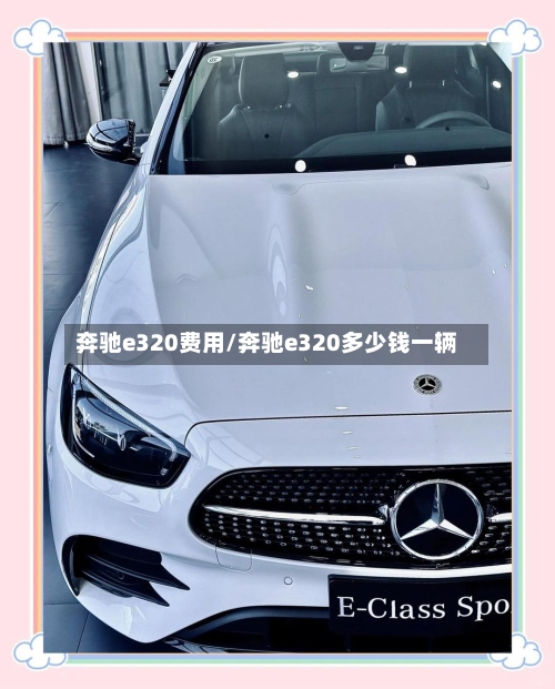 奔驰e320费用/奔驰e320多少钱一辆