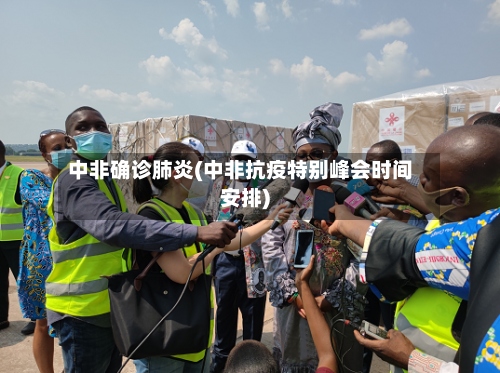 中非确诊肺炎(中非抗疫特别峰会时间安排)-第3张图片