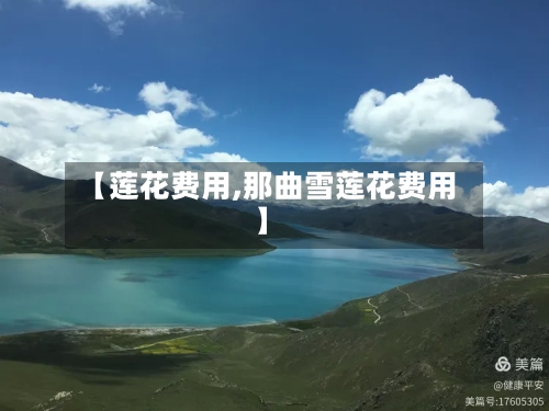 【莲花费用,那曲雪莲花费用】-第2张图片