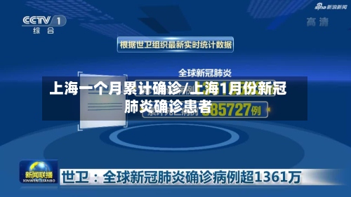 上海一个月累计确诊/上海1月份新冠肺炎确诊患者-第2张图片