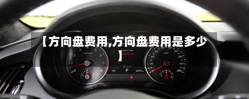 【方向盘费用,方向盘费用是多少】-第2张图片