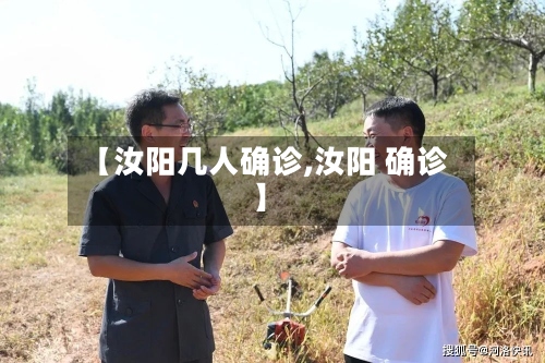 【汝阳几人确诊,汝阳 确诊】
