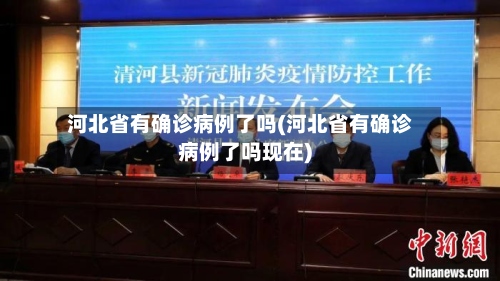 河北省有确诊病例了吗(河北省有确诊病例了吗现在)