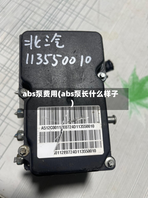 abs泵费用(abs泵长什么样子)-第2张图片