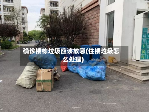 确诊楼栋垃圾应该放哪(住楼垃圾怎么处理)-第2张图片