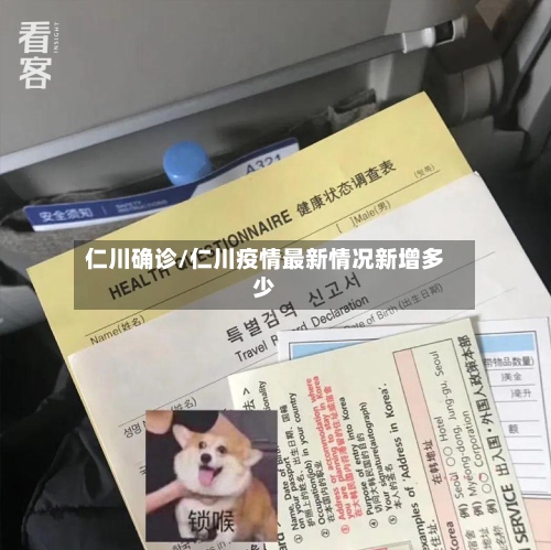 仁川确诊/仁川疫情最新情况新增多少-第2张图片