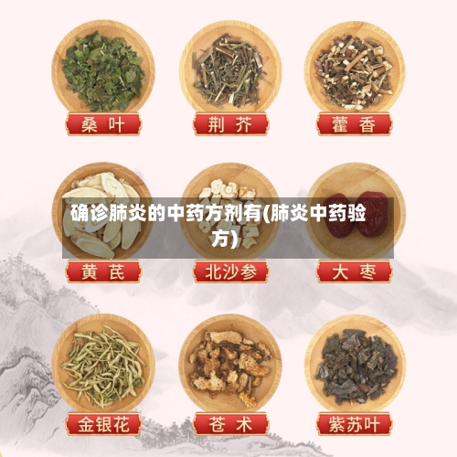 确诊肺炎的中药方剂有(肺炎中药验方)