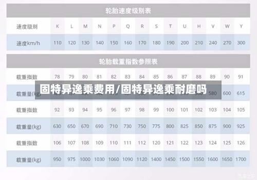 固特异逸乘费用/固特异逸乘耐磨吗