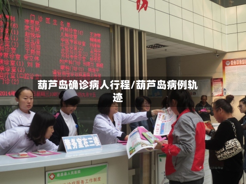 葫芦岛确诊病人行程/葫芦岛病例轨迹-第3张图片
