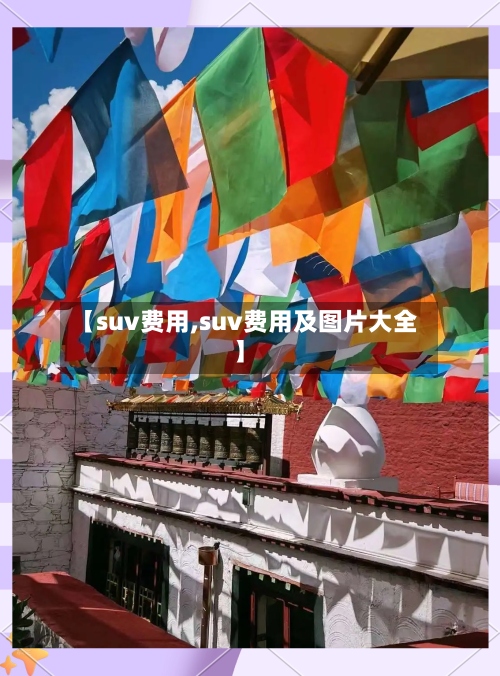 【suv费用,suv费用及图片大全】-第3张图片