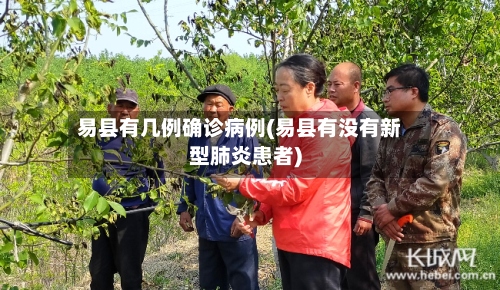 易县有几例确诊病例(易县有没有新型肺炎患者)-第2张图片