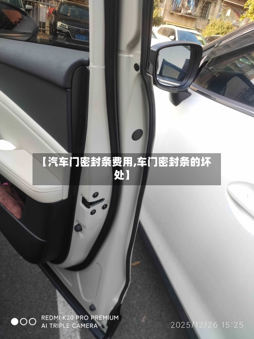 【汽车门密封条费用,车门密封条的坏处】-第2张图片
