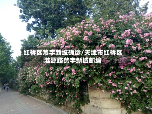 红桥区燕宇新城确诊/天津市红桥区涟源路燕宇新城邮编-第2张图片