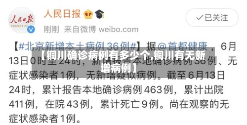 【铜川确诊病例有多少个,铜川有无新增病例】-第2张图片