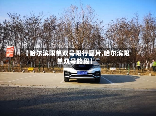 【哈尔滨限单双号限行图片,哈尔滨限单双号路段】-第2张图片