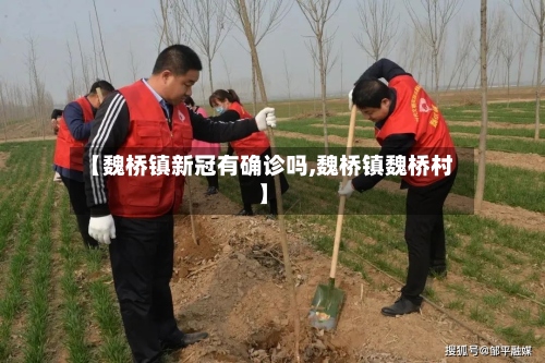 【魏桥镇新冠有确诊吗,魏桥镇魏桥村】-第2张图片