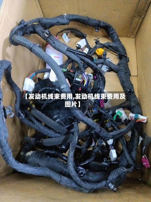 【发动机线束费用,发动机线束费用及图片】-第3张图片