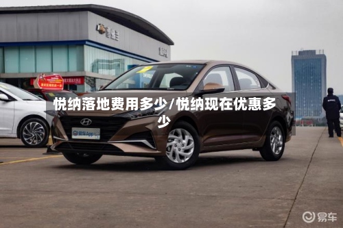 悦纳落地费用多少/悦纳现在优惠多少