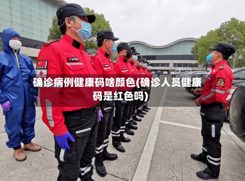 确诊病例健康码啥颜色(确诊人员健康码是红色吗)-第3张图片