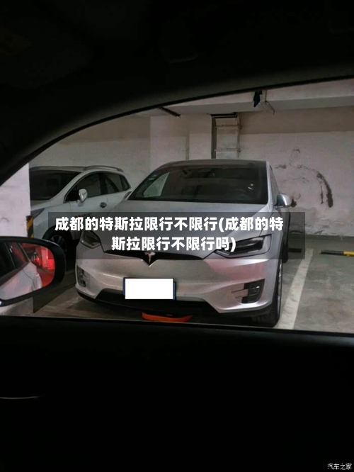 成都的特斯拉限行不限行(成都的特斯拉限行不限行吗)