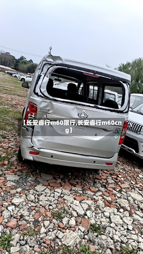 【长安睿行m60限行,长安睿行m60cng】-第2张图片
