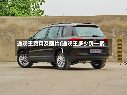 途观王费用及图片(途观王多少钱一辆)-第2张图片