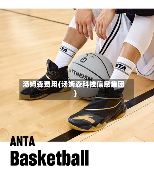 汤姆森费用(汤姆森科技信息集团)