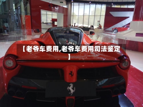 【老爷车费用,老爷车费用司法鉴定】
