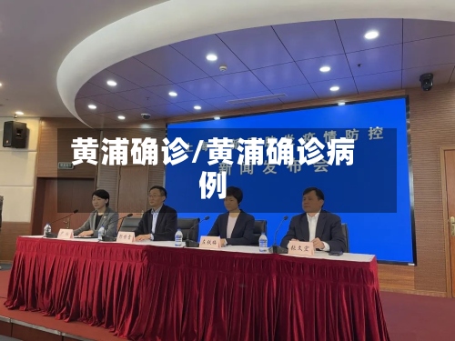 黄浦确诊/黄浦确诊病例