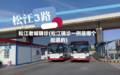 松江老城确诊(松江确诊一例是哪个街道的)-第2张图片